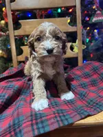 processed/044051c6-b77f-4b6f-b0bf-28759459f537/listing/66e59e85-a3b2-4996-8af0-962014457265/11e07640-6bc2-4c12-a227-c0f730dc8268