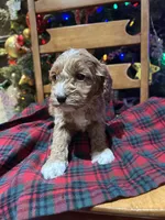 processed/044051c6-b77f-4b6f-b0bf-28759459f537/listing/66e59e85-a3b2-4996-8af0-962014457265/42c53115-7ee7-4135-946e-b25f0a1cb4d8