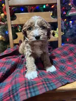 processed/044051c6-b77f-4b6f-b0bf-28759459f537/listing/66e59e85-a3b2-4996-8af0-962014457265/81c026dd-0c92-4476-ad3e-ea210b805d14