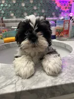 processed/044051c6-b77f-4b6f-b0bf-28759459f537/listing/7d02d600-1ec2-487a-b5a3-5f87bdc678ff/7f6dc78d-d968-4417-b857-d949ba8a34d1