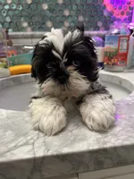 processed/044051c6-b77f-4b6f-b0bf-28759459f537/listing/7d02d600-1ec2-487a-b5a3-5f87bdc678ff/8b90b630-23fd-4ae7-8bb8-5062c4bdd15b