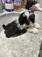 processed/044051c6-b77f-4b6f-b0bf-28759459f537/listing/7d02d600-1ec2-487a-b5a3-5f87bdc678ff/ed74814c-8993-42cd-9055-704c76736257