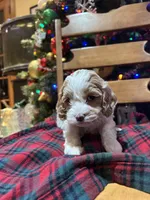 processed/044051c6-b77f-4b6f-b0bf-28759459f537/listing/9c275d2a-705b-4ccd-bb2d-c9bd63ebf0e2/0f52e918-8a83-40cb-b3ad-9cbe5c636aec