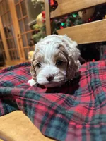 processed/044051c6-b77f-4b6f-b0bf-28759459f537/listing/9c275d2a-705b-4ccd-bb2d-c9bd63ebf0e2/1831bc6c-2743-4324-a757-32db93cec134