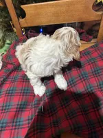 processed/044051c6-b77f-4b6f-b0bf-28759459f537/listing/9c275d2a-705b-4ccd-bb2d-c9bd63ebf0e2/fe622714-9be8-4fb7-b47e-b0f645c5df2b