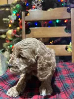 processed/044051c6-b77f-4b6f-b0bf-28759459f537/listing/c5816524-1094-48a1-87f2-dfac5eafad1b/06f6b81f-10f4-462b-acf6-5764b7979159