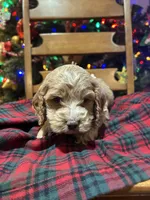 processed/044051c6-b77f-4b6f-b0bf-28759459f537/listing/c5816524-1094-48a1-87f2-dfac5eafad1b/d169b030-65bd-4112-9e4e-d2f0af4cbe9b