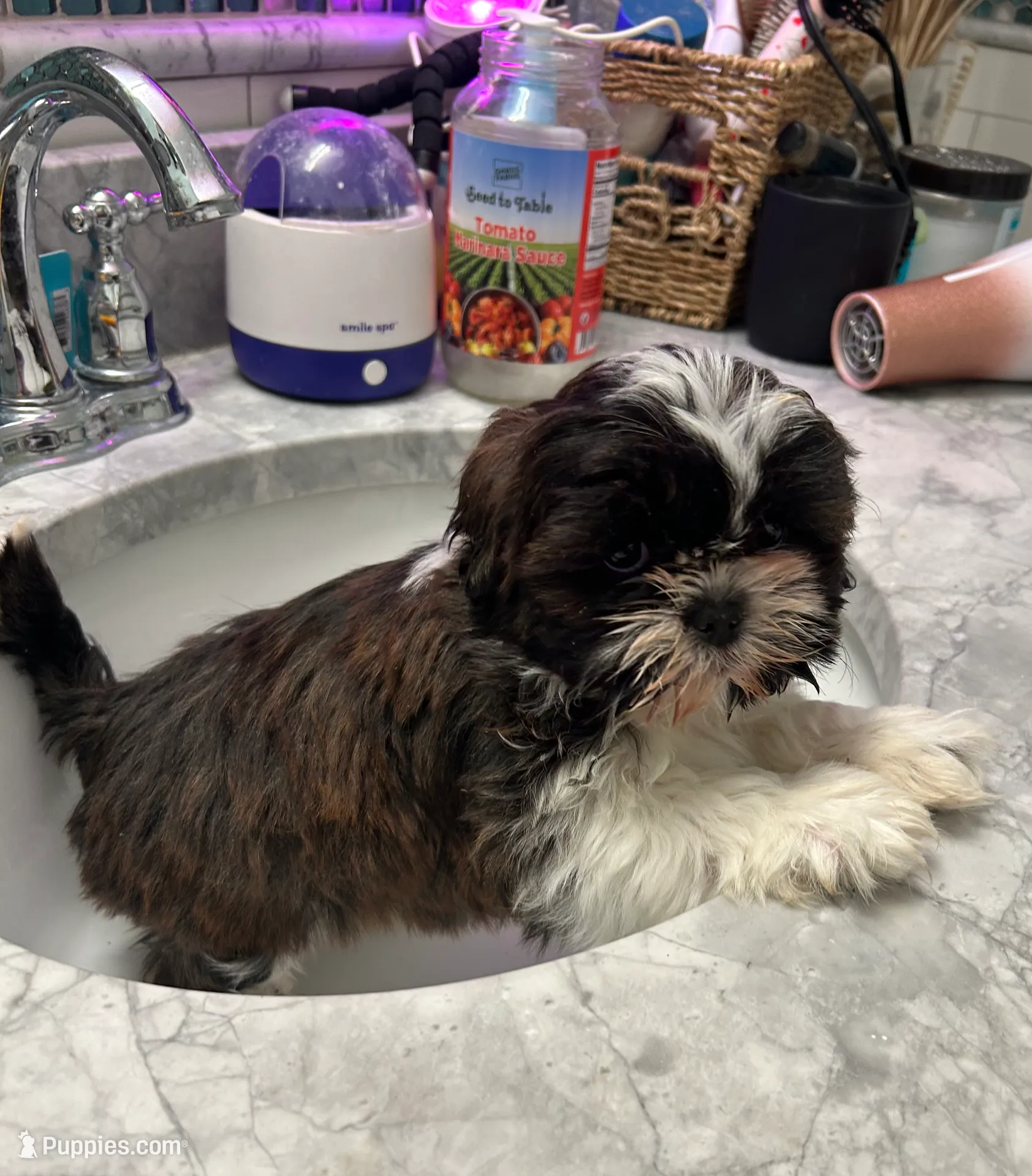 processed/044051c6-b77f-4b6f-b0bf-28759459f537/listing/d1317810-eb89-4f38-b5e0-18fd761c782c/86e5bd25-392a-4997-be27-d6be9ab8ec73