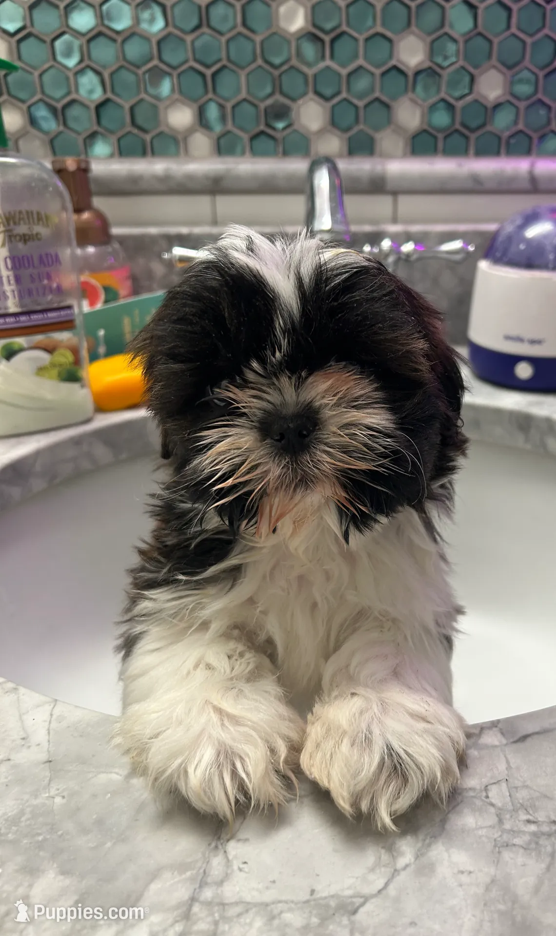 processed/044051c6-b77f-4b6f-b0bf-28759459f537/listing/d1317810-eb89-4f38-b5e0-18fd761c782c/cd4d6512-4047-4fc8-8493-3a8385b9cbec