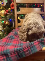 processed/044051c6-b77f-4b6f-b0bf-28759459f537/listing/f673abe8-45b4-42ef-a59a-2462d35db3d0/566d3dde-e11b-4cb7-8e17-5977c0759b5b