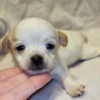 processed/0443bbf7-addf-4037-8690-3fc7a3856310/listing/1291f3d9-9e51-4d2f-bba1-7fd8993d5d92/2854bc07-16f9-401e-86f1-e81d2ca40f78