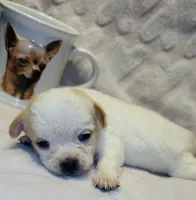 processed/0443bbf7-addf-4037-8690-3fc7a3856310/listing/1291f3d9-9e51-4d2f-bba1-7fd8993d5d92/49051112-1c3c-4945-a205-b346f090e6e0