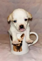 processed/0443bbf7-addf-4037-8690-3fc7a3856310/listing/1291f3d9-9e51-4d2f-bba1-7fd8993d5d92/748e4505-4f1b-4ae1-94ed-0152c2e2e33c