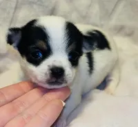 processed/0443bbf7-addf-4037-8690-3fc7a3856310/listing/2a0fb405-9e62-449c-9ca3-a5750fbbe272/eac225e9-95b7-4ce0-9479-031e646370c6