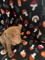 processed/0445501c-3b52-4cd2-9dc8-754a4f8efba5/listing/84e4e2c9-9874-442a-a9a3-41bc1c35c97d/87bbd0b4-27a4-41e1-bc7d-375426b2e4fa