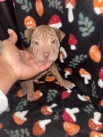 processed/0445501c-3b52-4cd2-9dc8-754a4f8efba5/listing/94c56ff7-9143-4f15-864a-a7d5e63d58aa/50396a83-cfdd-4c2b-b78d-e30411cc264e