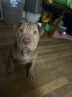 processed/0445501c-3b52-4cd2-9dc8-754a4f8efba5/listing/94c56ff7-9143-4f15-864a-a7d5e63d58aa/c2951388-bc8a-40c1-9060-aacd1475132a