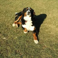 processed/044b2359-d1a1-4952-a7f3-c5df27ce3211/facility/736cd18d-34a6-484c-8cdf-55515aba0471