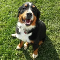 processed/044b2359-d1a1-4952-a7f3-c5df27ce3211/facility/76e749dd-49f6-43ec-8354-dc75d610b026