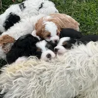 processed/044b2359-d1a1-4952-a7f3-c5df27ce3211/facility/9436d56a-55a3-4e04-99e5-99420246788f