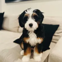 processed/044b2359-d1a1-4952-a7f3-c5df27ce3211/facility/c8a08cfd-2546-4cf5-af0f-3c1705218d07