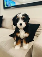 processed/044b2359-d1a1-4952-a7f3-c5df27ce3211/facility/c8a08cfd-2546-4cf5-af0f-3c1705218d07