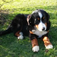 processed/044b2359-d1a1-4952-a7f3-c5df27ce3211/facility/d0cff5a0-3f2d-421a-adc6-c73c38b027d8