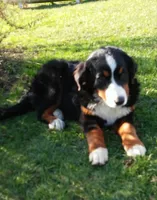 processed/044b2359-d1a1-4952-a7f3-c5df27ce3211/facility/d0cff5a0-3f2d-421a-adc6-c73c38b027d8