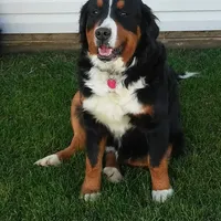 processed/044b2359-d1a1-4952-a7f3-c5df27ce3211/facility/deb73766-2eb6-4485-8597-0978109f0a74