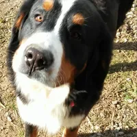 processed/044b2359-d1a1-4952-a7f3-c5df27ce3211/facility/e8b86fa3-5059-4525-be43-9a1c4404a096