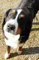 processed/044b2359-d1a1-4952-a7f3-c5df27ce3211/facility/e8b86fa3-5059-4525-be43-9a1c4404a096