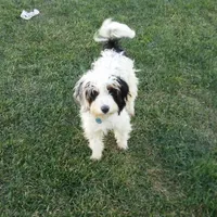 processed/044b2359-d1a1-4952-a7f3-c5df27ce3211/facility/f2c082b8-c60a-4b03-bf5c-76f0757136b2