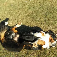 processed/044b2359-d1a1-4952-a7f3-c5df27ce3211/facility/f7c4f2c0-6596-4b91-9660-1c45ca92cf69