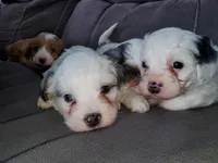 processed/044b2359-d1a1-4952-a7f3-c5df27ce3211/listing/5d94a889-3ed6-43cd-82c8-ee3db283f4aa/2ad87f8e-ba68-402d-9089-4e05cc4476a9