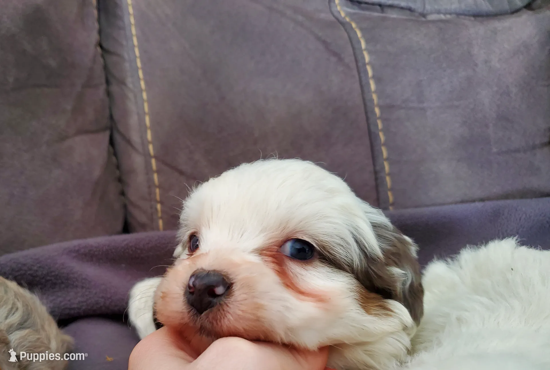 processed/044b2359-d1a1-4952-a7f3-c5df27ce3211/listing/5d94a889-3ed6-43cd-82c8-ee3db283f4aa/5239fcc4-6fd0-46cd-b380-6e5e628758a5