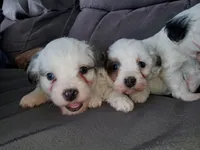 processed/044b2359-d1a1-4952-a7f3-c5df27ce3211/listing/5d94a889-3ed6-43cd-82c8-ee3db283f4aa/67b2d142-e71b-4c15-b0e3-8d5908bd2a50