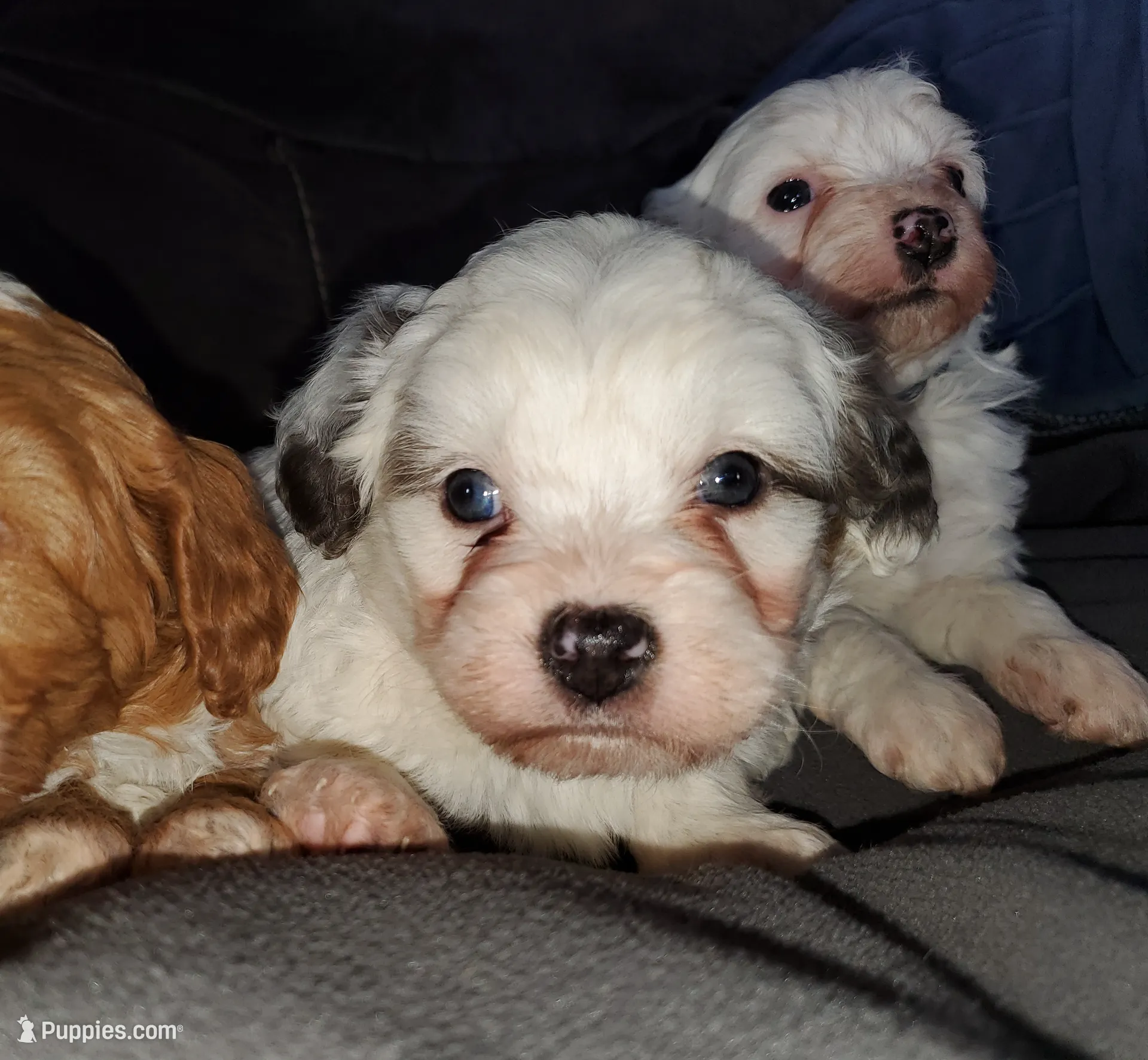 processed/044b2359-d1a1-4952-a7f3-c5df27ce3211/listing/5d94a889-3ed6-43cd-82c8-ee3db283f4aa/a5ed06ad-3643-41ff-8d8e-a897f3e7416a