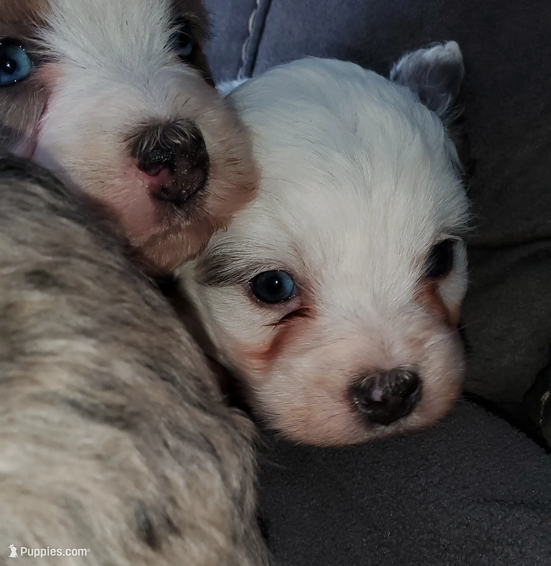 processed/044b2359-d1a1-4952-a7f3-c5df27ce3211/listing/5d94a889-3ed6-43cd-82c8-ee3db283f4aa/c6a13b14-0d54-4a3f-832a-b8db86209f10