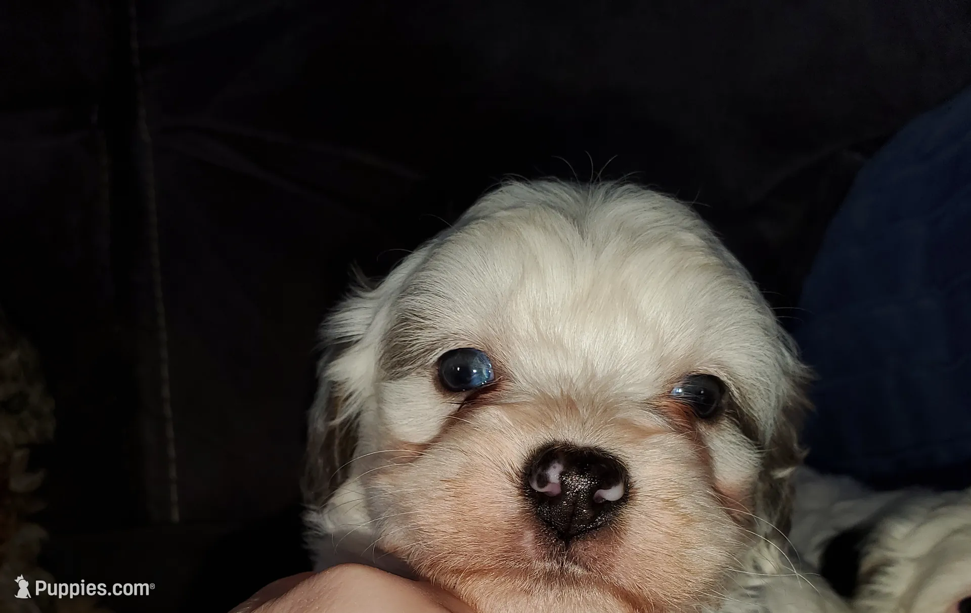 processed/044b2359-d1a1-4952-a7f3-c5df27ce3211/listing/5d94a889-3ed6-43cd-82c8-ee3db283f4aa/ce4e902d-49db-40a7-be4e-867fcc430767