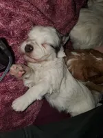 processed/044b2359-d1a1-4952-a7f3-c5df27ce3211/listing/5d94a889-3ed6-43cd-82c8-ee3db283f4aa/eaeed4b5-456f-40df-b5b1-9b6f22f14c93