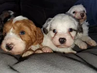 processed/044b2359-d1a1-4952-a7f3-c5df27ce3211/listing/5d94a889-3ed6-43cd-82c8-ee3db283f4aa/f3edeb80-dbef-45dc-be6d-71a56b274f79