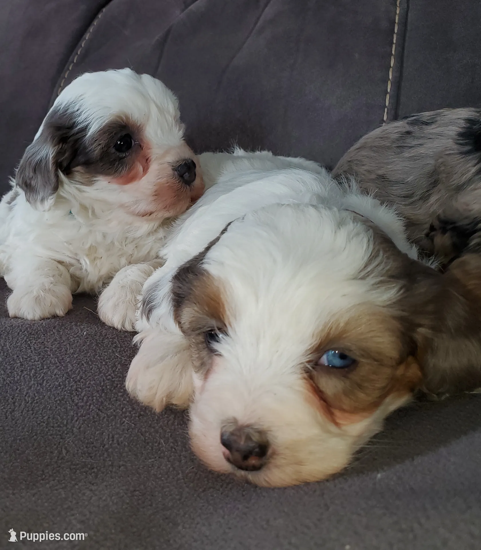 processed/044b2359-d1a1-4952-a7f3-c5df27ce3211/listing/73af89da-0d17-42cd-9378-8413d87b3847/072ed305-c2d3-4895-8c9f-e6e45383607c