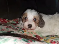 processed/044b2359-d1a1-4952-a7f3-c5df27ce3211/listing/73af89da-0d17-42cd-9378-8413d87b3847/097ef51c-53da-4aea-b862-b6fa8af6dec2