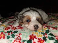 processed/044b2359-d1a1-4952-a7f3-c5df27ce3211/listing/73af89da-0d17-42cd-9378-8413d87b3847/208a4212-d5c5-416d-b2df-37bb3b989922