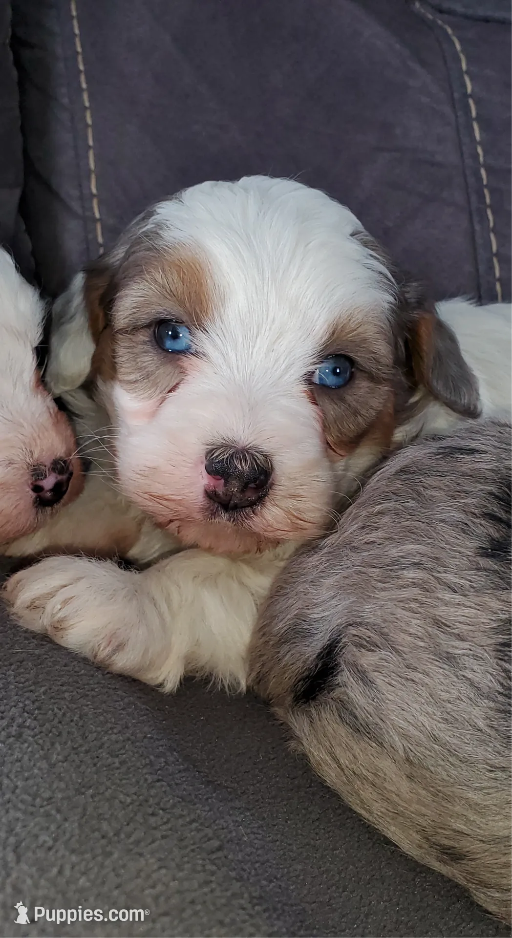 processed/044b2359-d1a1-4952-a7f3-c5df27ce3211/listing/73af89da-0d17-42cd-9378-8413d87b3847/2b8900ad-b272-487e-b33c-12fff145351d