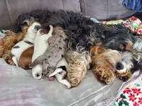 processed/044b2359-d1a1-4952-a7f3-c5df27ce3211/listing/73af89da-0d17-42cd-9378-8413d87b3847/3f6353d2-6215-478b-ac10-832d1087ec73