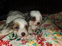 processed/044b2359-d1a1-4952-a7f3-c5df27ce3211/listing/73af89da-0d17-42cd-9378-8413d87b3847/86d6f3b5-7679-4e06-ba82-ae6d15eaca47