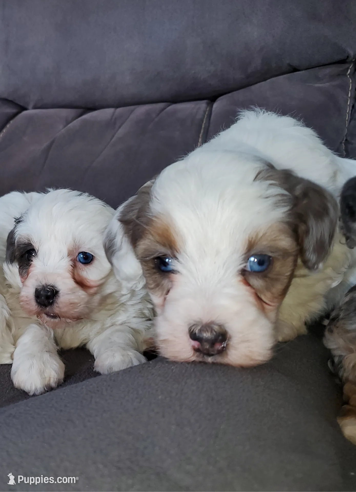 processed/044b2359-d1a1-4952-a7f3-c5df27ce3211/listing/73af89da-0d17-42cd-9378-8413d87b3847/a1c85ffe-cc29-4d88-b66f-3a188a7ed7ed