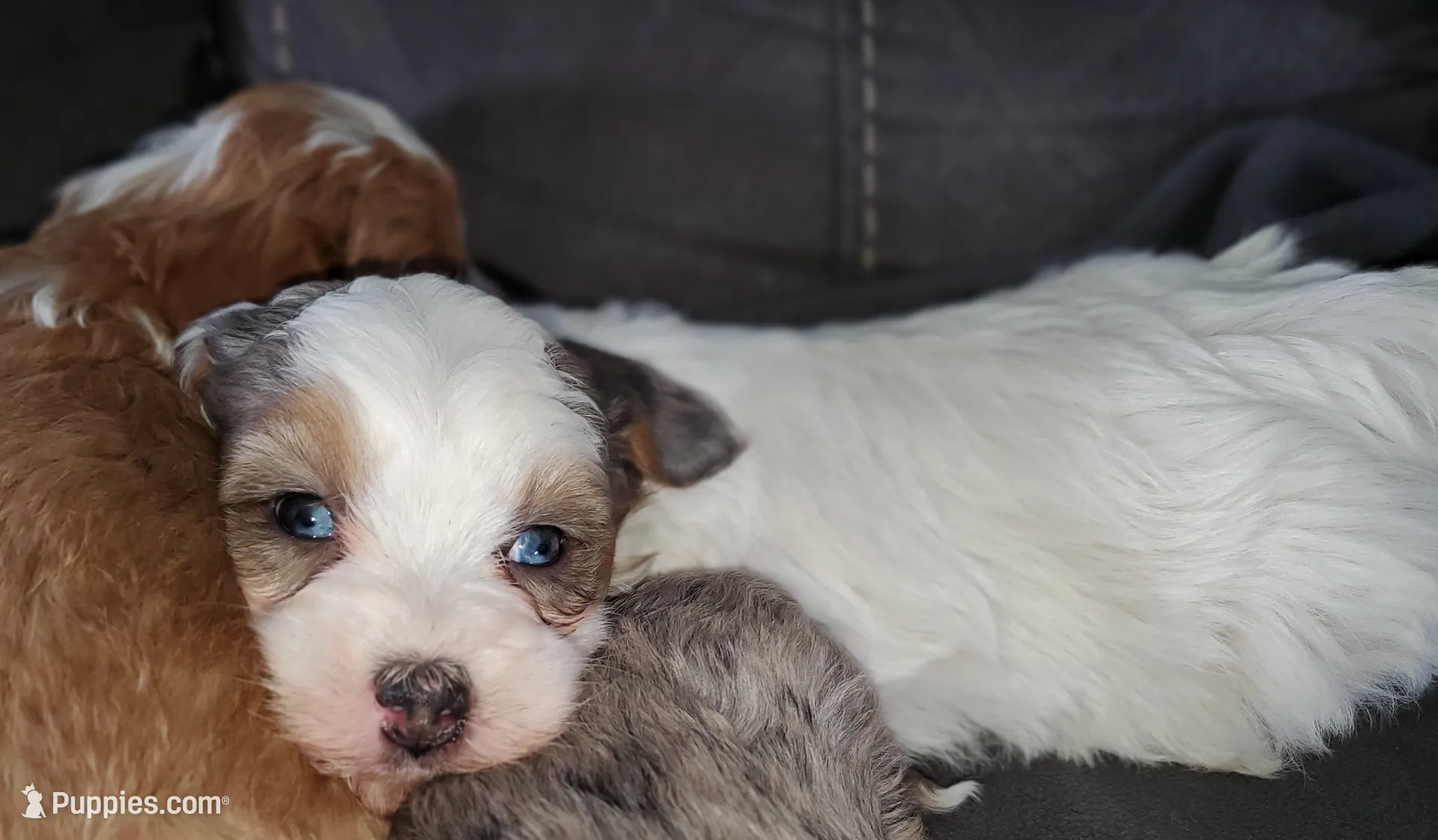 processed/044b2359-d1a1-4952-a7f3-c5df27ce3211/listing/73af89da-0d17-42cd-9378-8413d87b3847/a207c15f-dbe0-4689-9ddd-04e1b32002ba