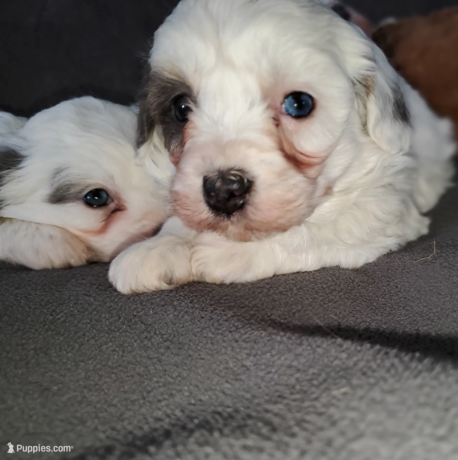 processed/044b2359-d1a1-4952-a7f3-c5df27ce3211/listing/73af89da-0d17-42cd-9378-8413d87b3847/b863f61d-10ba-484b-9b2b-6ebc093b0b5a